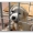 Cosenza, &ldquo;Fido t&rsquo;affido&rdquo;, il 18 maggio adotta un cane in piazza
