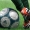 Dilettanti, i fuoriquota necessari per la stagione 2013/2014