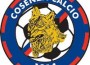 cosenza_calcio_1914