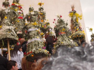 processione delle persefoni