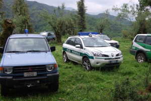 Abbatimento bovini luogo