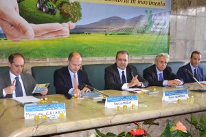 Rc tavolo presidenza terre di calabria