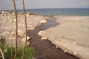 scarichi torrente oliveto 2