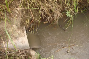 scarichi torrente oliveto