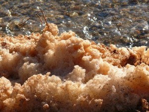 schiuma rinvenuta nella diga dell'Alaco