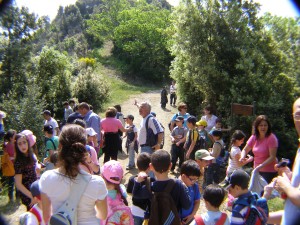 un momento della giornata