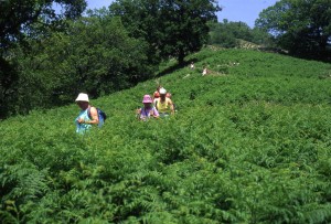 escursionisti escursionisti