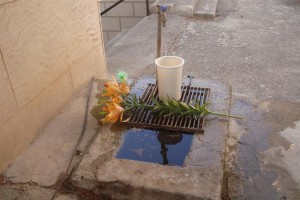 cimitero lazzaro cimitero lazzaro