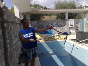 Bombino con esemplare catturato Bombino con esemplare catturato