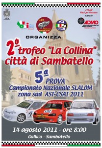 locandina 2011 14 agosto