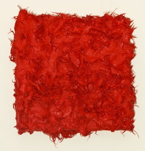 Cordì monochromeREDw 2010 30 x30 guaina liquida Cordì monochromeREDw 2010 30 x30 guaina liquida