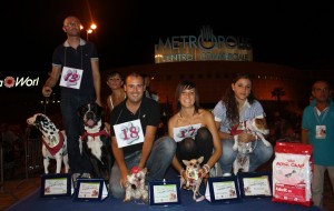 i vincitori i vincitori