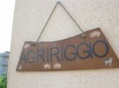 agririggio