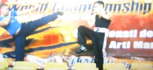 World Championship – Martiale Arts e Fighting Sports