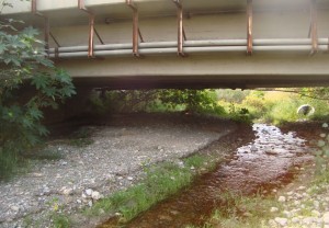 torrente oliveto torrente oliveto