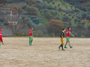 Bagaladi- Real Gebbione