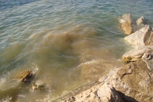 foto del 4-12-2011 scarico san vincenzo foto del 4-12-2011 scarico san vincenzo