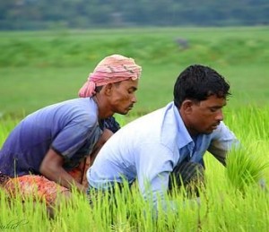 immigrati_sfruttamento immigrati_sfruttamento