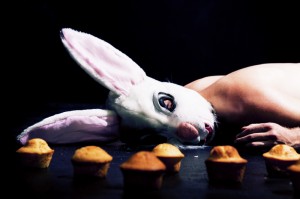 macadamia nut brittle