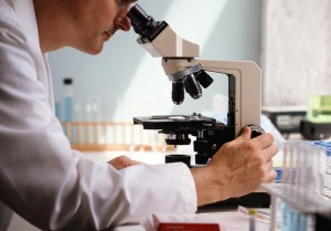 Microscopio_anatomo-patolog Microscopio_anatomo-patolog