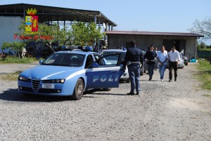 arresto rosarno arresto rosarno