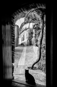 Fabio Orlando 1 premio migliore autore