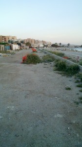 Parco lineare Parco lineare