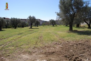 confisca beni locri 3