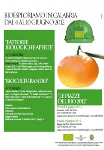 locandina le piazze del bio locandina le piazze del bio