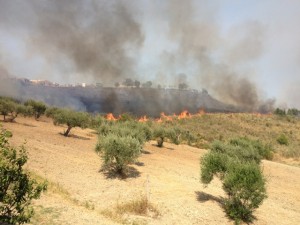 SARACENA-INCENDIO-180712