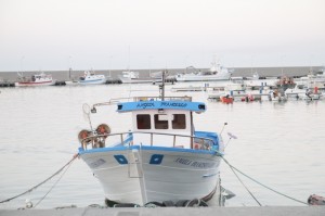 ECOSTONiBILITA' ECOSTONiBILITA'