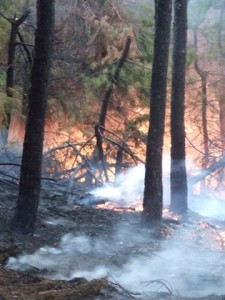 INCENDIO_PIANA_DEI_VENTI INCENDIO_PIANA_DEI_VENTI