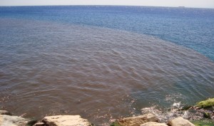 criticità ambientale lazzaro criticità ambientale lazzaro