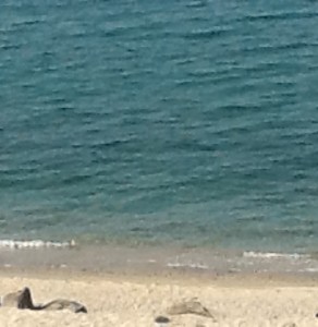 foto Bivona foto Bivona