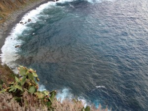 Foto inquinamento marinella palmi