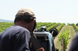 MOSCATO-EATPARADE MOSCATO-EATPARADE