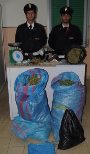 foto laboratorio marjiuana foto laboratorio marjiuana