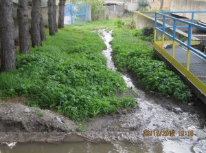 impianto-depurazione-motta impianto-depurazione-motta