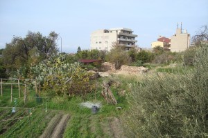 lazzaro-beni-culturali lazzaro-beni-culturali