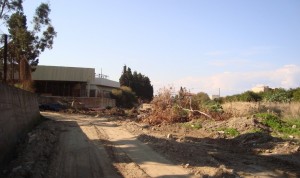 torrente-oliveto torrente-oliveto