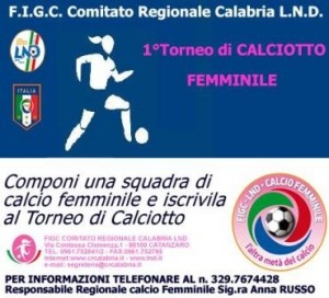 1-torneo-di-calcio a 8-femminile -2013
