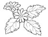 disegni da colorare fiori 1