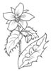 disegni da colorare fiori 2