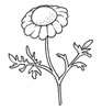 disegni da colorare fiori 4