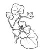 disegni da colorare fiori 11