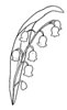 disegni da colorare fiori 15