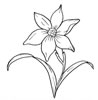 disegni da colorare fiori 16