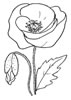 disegni da colorare fiori 19