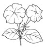 disegni da colorare fiori 20