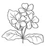 disegni da colorare fiori 21